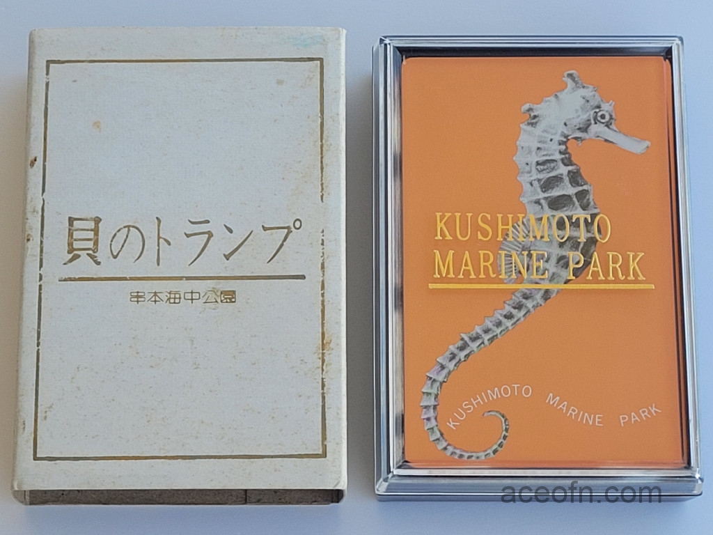 Kushimoto-Marine-Park-shells-deck