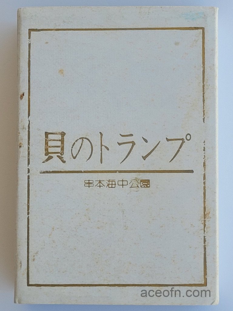 Kushimoto-Marine-Park-shells-sleeve
