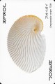 Kushimoto-Marine-Park-shells-joker-b
