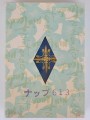 NAP-613-blue-sleeve