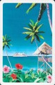 Oceanic-Grace-tropical-beach-retro