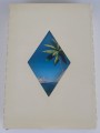 Oceanic-Grace-tropical-beach-sleeve