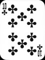 Torys-flowers-10